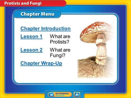 Lesson 1 What are Protists? Lesson 2 What are Fungi? Chapter Wrap-Up