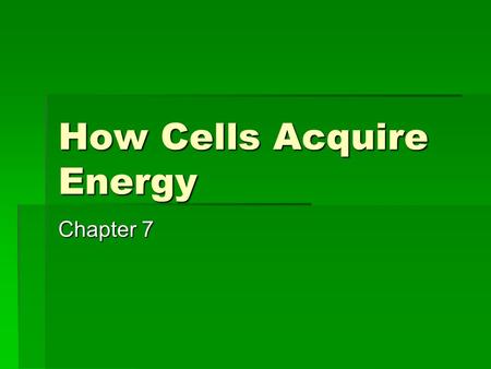 How Cells Acquire Energy Chapter 7.  Photoautotrophs  Carbon source is carbon dioxide  Energy source is sunlight  Heterotrophs  Get carbon and energy.
