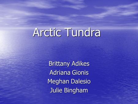 Arctic Tundra Brittany Adikes Adriana Gionis Meghan Dalesio Julie Bingham.