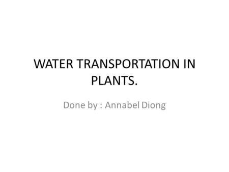 WATER TRANSPORTATION IN PLANTS. Done by : Annabel Diong.