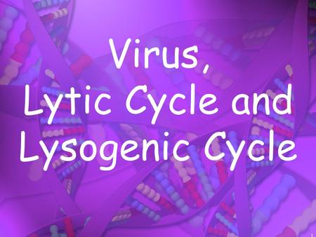 1 Virus, Lytic Cycle and Lysogenic Cycle. 2 Are Viruses Living or Non-living? Viruses are non living They have some properties of life but not others.