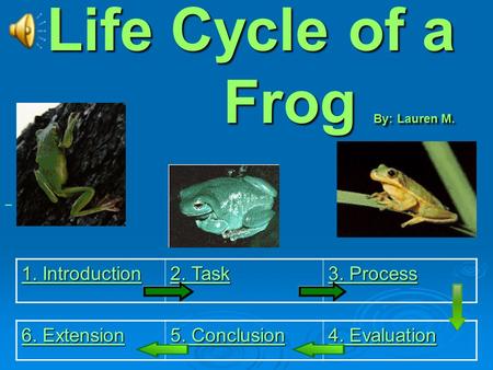 Life Cycle of a Frog By: Lauren M.