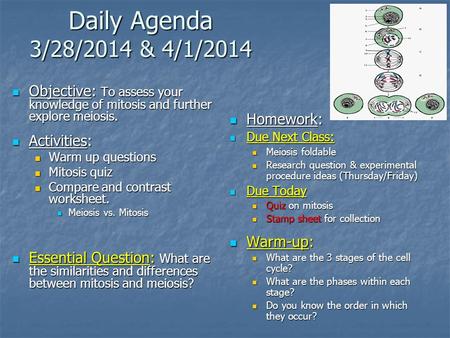 Daily Agenda 3/28/2014 & 4/1/2014 Objective: To assess your knowledge of mitosis and further explore meiosis. Objective: To assess your knowledge of mitosis.