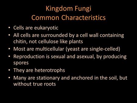 Kingdom Fungi Common Characteristics Cells are eukaryotic All cells are surrounded by a cell wall containing chitin, not cellulose like plants Most are.