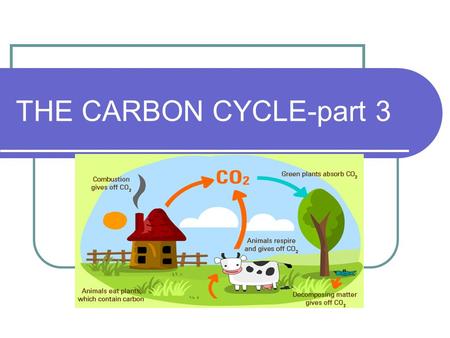 THE CARBON CYCLE-part 3.