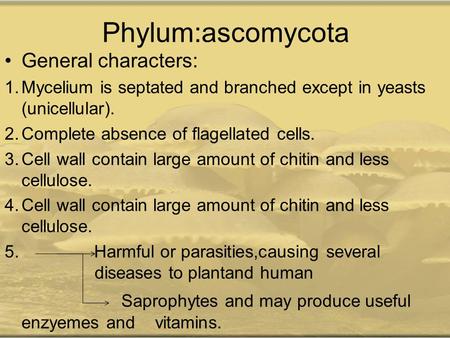Phylum:ascomycota General characters: