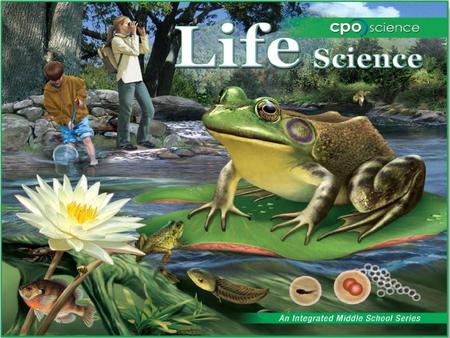 Living Systems Chapter Three: Classifying Living Things 3.1 Types of Living Things 3.2 Dichotomous Keys.
