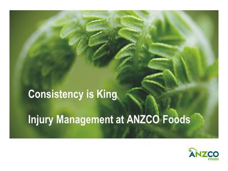 Consistency is King Injury Management at ANZCO Foods.