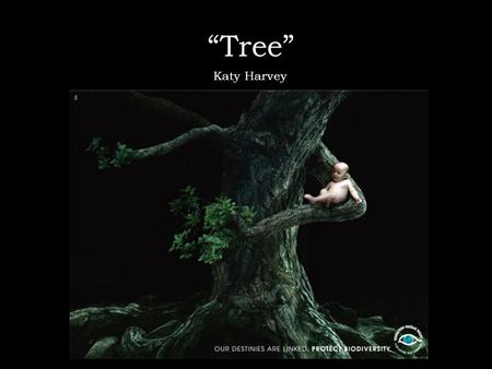 “Tree” Katy Harvey.