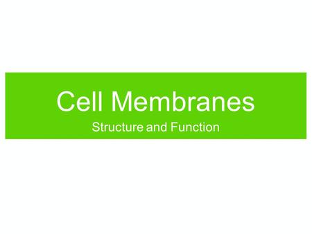 Cell Membranes Structure and Function. Quick review: Atoms bind together to make molecules.