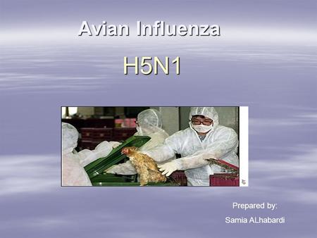 Avian Influenza H5N1 Prepared by: Samia ALhabardi.