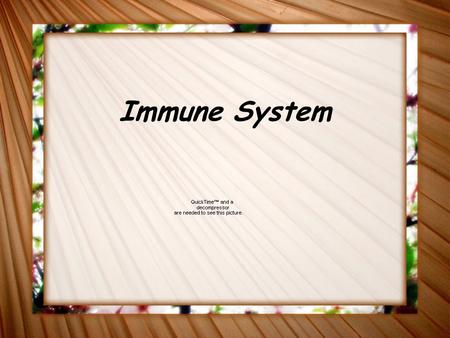 Immune System. Lines of Defense There are 3 lines of defense in the body. The first 2 are nonspecific (they attack everything); the 3rd is specific (it.