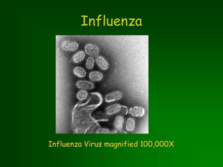 Influenza Influenza Virus magnified 100,000X. What is Influenza? Virus; causes chills, fever, sore throat, fatigue.