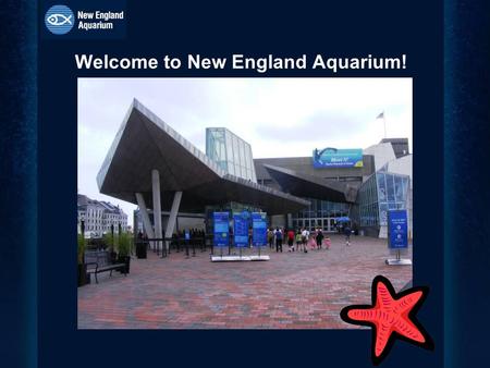 Welcome to New England Aquarium!. Map of Outside the Aquarium.
