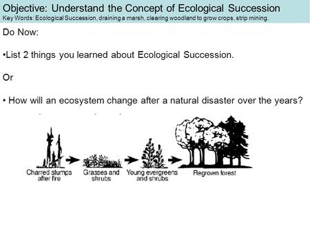 Do Now: List 2 things you learned about Ecological Succession. Or How will an ecosystem change after a natural disaster over the years? Objective: Understand.