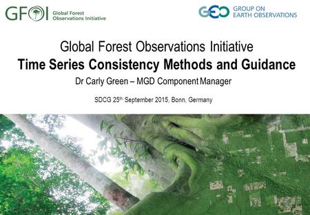 Global Forest Observations Initiative Time Series Consistency Methods and Guidance Dr Carly Green – MGD Component Manager SDCG 25 th September 2015, Bonn,