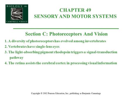 CHAPTER 49 SENSORY AND MOTOR SYSTEMS Copyright © 2002 Pearson Education, Inc., publishing as Benjamin Cummings Section C: Photoreceptors And Vision 1.