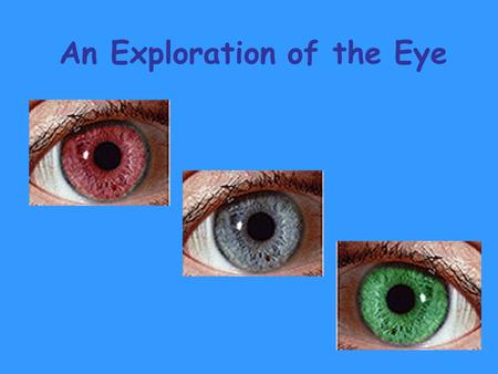 An Exploration of the Eye. Light is Essential for Vision.