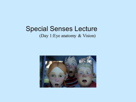 Special Senses Lecture (Day 1:Eye anatomy & Vision)