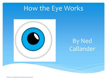 How the Eye Works  By Ned Callander.