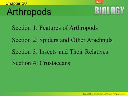 Arthropods Section 1: Features of Arthropods