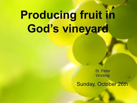 Producing fruit in God’s vineyard St. Peter Worship Sunday, October 26th.