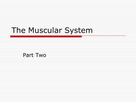 The Muscular System Part Two. 1. Body movements are often the result of the activity of two or more muscles acting together or against each other.