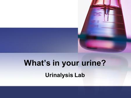 What’s in your urine? Urinalysis Lab.