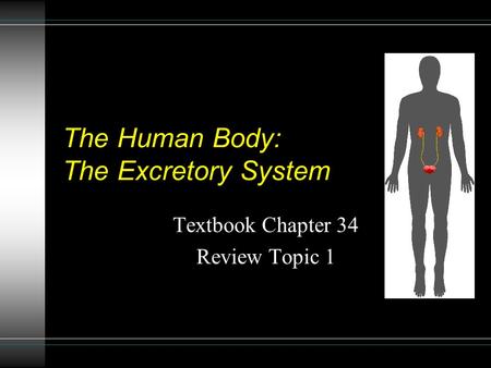 The Human Body: The Excretory System Textbook Chapter 34 Review Topic 1.