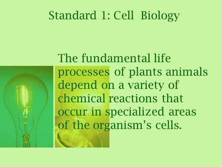 Standard 1: Cell Biology The fundamental life processes of plants animals depend on a variety of chemical reactions that occur in specialized areas of.