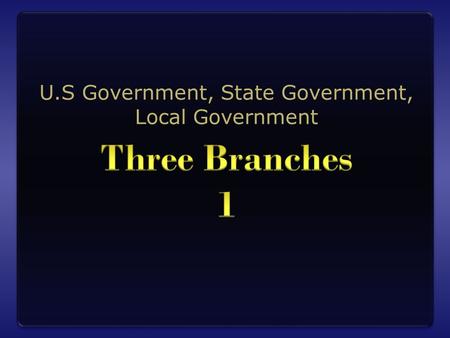 U.S Government, State Government, Local Government.