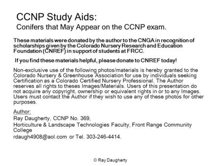 © Ray Daugherty CCNP Study Aids: Conifers that May Appear on the CCNP exam. These materials were donated by the author to the CNGA in recognition of scholarships.