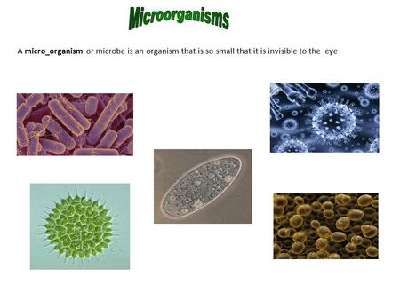 A micro_organism or microbe is an organism that is so small that it is invisible to the eye.