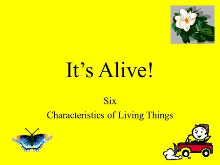 It’s Alive! Six Characteristics of Living Things.