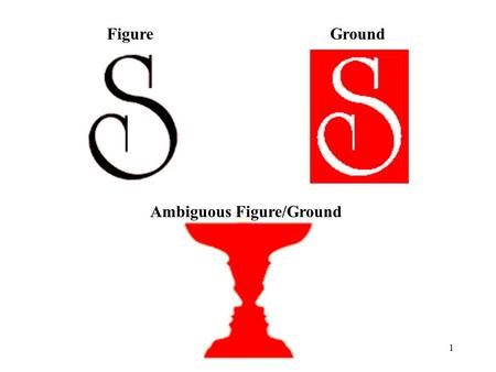 Ambiguous Figure/Ground