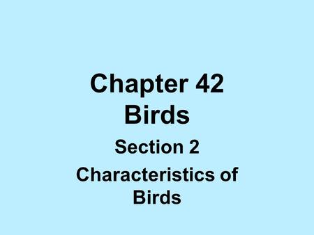 Chapter 42 Birds Section 2 Characteristics of Birds.