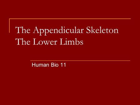 The Appendicular Skeleton The Lower Limbs Human Bio 11.