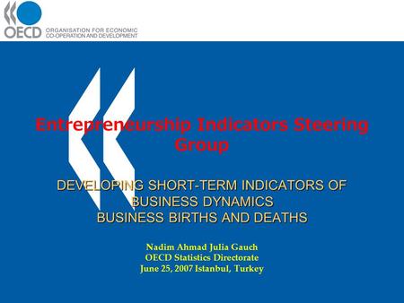 DEVELOPING SHORT-TERM INDICATORS OF BUSINESS DYNAMICS BUSINESS BIRTHS AND DEATHS Entrepreneurship Indicators Steering Group DEVELOPING SHORT-TERM INDICATORS.