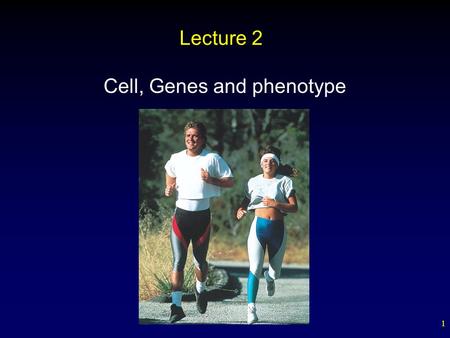 1 Lecture 2 Cell, Genes and phenotype. 2 Cell, Gene expression and phenotype Cellular Organization DNA and RNA Structure and Function Gene expression.