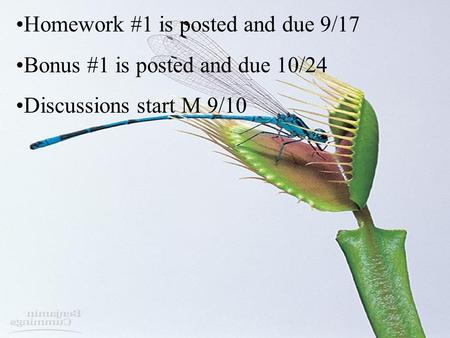 Homework #1 is posted and due 9/17 Bonus #1 is posted and due 10/24 Discussions start M 9/10.