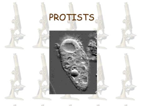 PROTISTS. Domains Classification Review Domain Kingdom Phylum Class Order Family Genus Species.