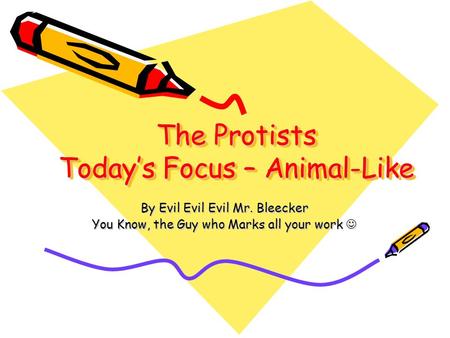 The Protists Today’s Focus – Animal-Like