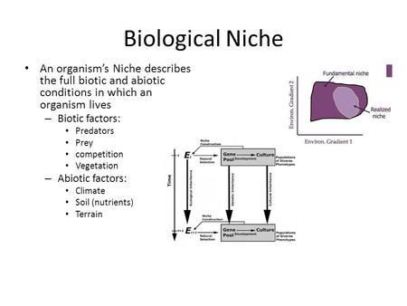 Biological Niche An organism’s Niche describes the full biotic and abiotic conditions in which an organism lives – Biotic factors: Predators Prey competition.