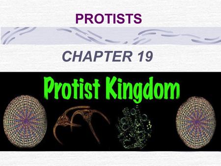PROTISTS CHAPTER 19. KINGDOM PROTISTA (most diverse kingdom) All are eukaryotic Unicellular or multi- cellular Microscopic or very large Heterotrophic.
