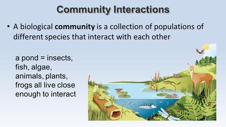 A biological community is a collection of populations of different species that interact with each other Community Interactions a pond = insects, fish,