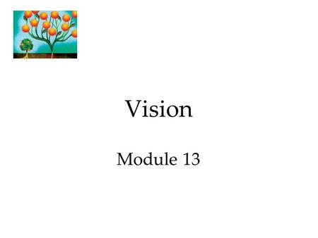 Vision Module 13.