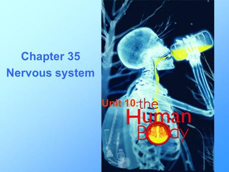 Chapter 35 Nervous system Unit 10 :. Tissue Types: Epithelial Connective Muscle Nervous.