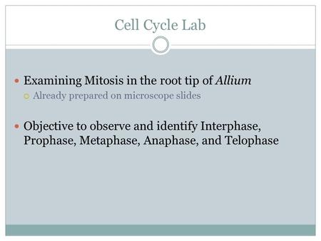 Cell Cycle Lab Examining Mitosis in the root tip of Allium  Already prepared on microscope slides Objective to observe and identify Interphase, Prophase,