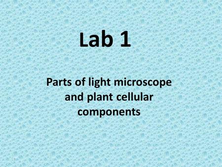 L ab 1 Parts of light microscope and plant cellular components 1.