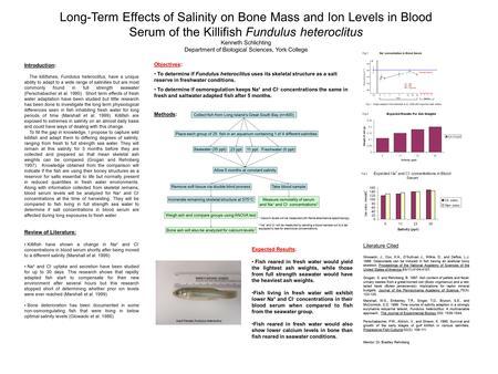 Long-Term Effects of Salinity on Bone Mass and Ion Levels in Blood Serum of the Killifish Fundulus heteroclitus Kenneth Schlichting Department of Biological.